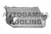 AUTOGAMMA 103887 Intercooler, charger